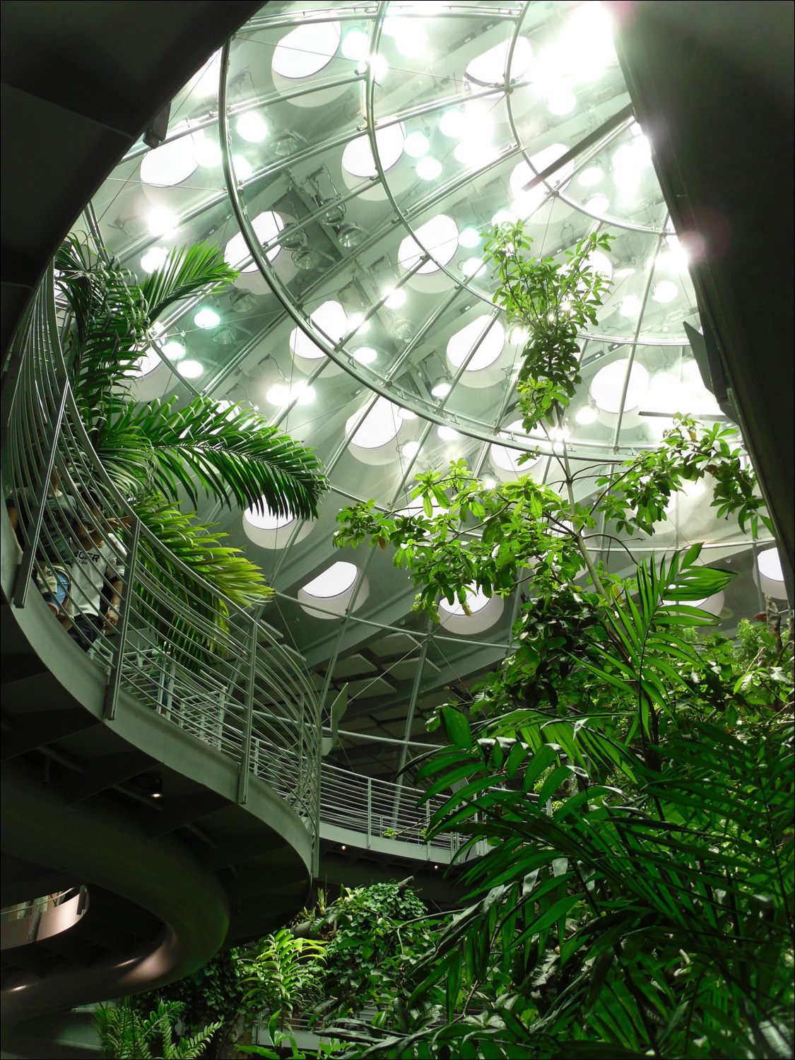 inside of rainforest exhibit